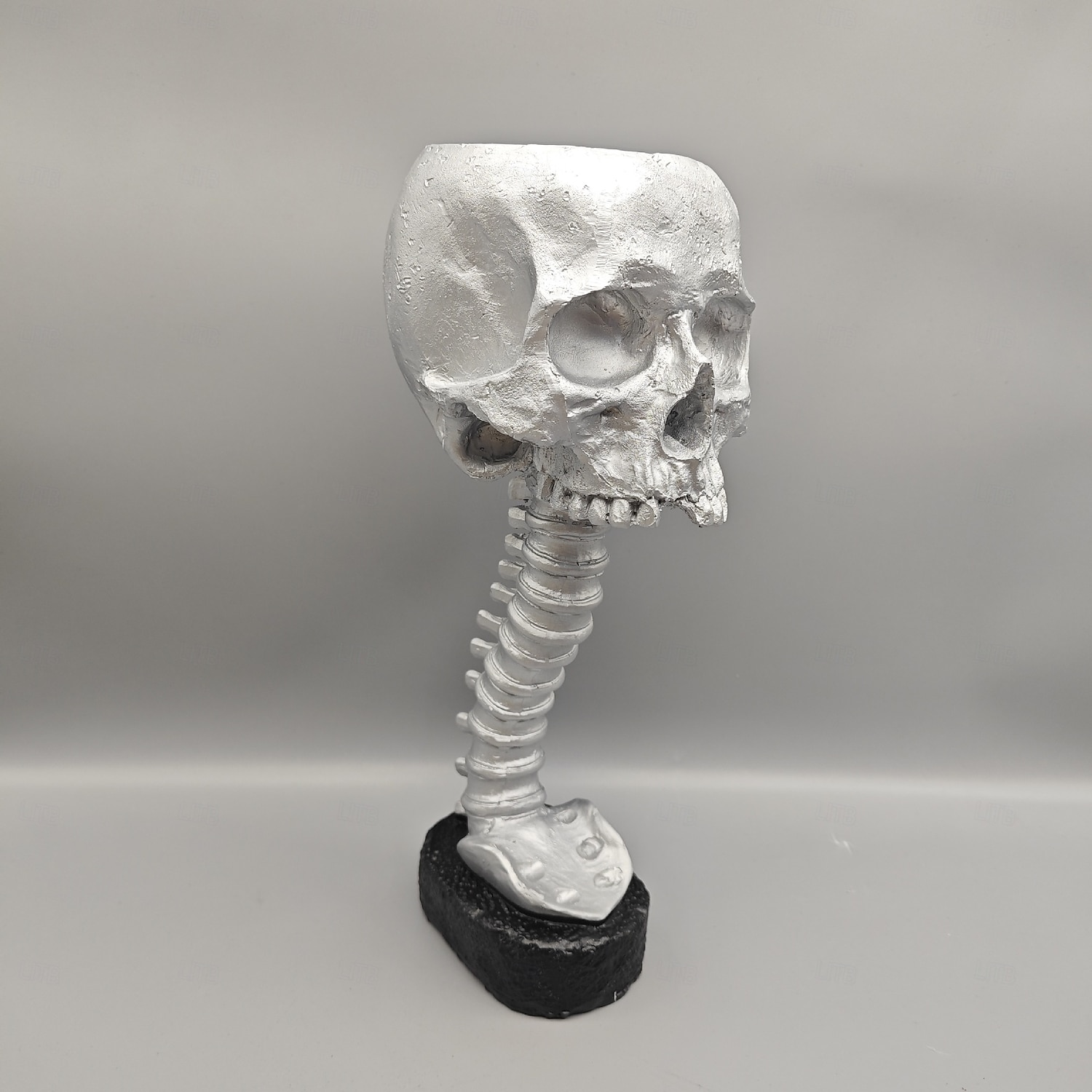 Halloween Skull Planter & Spine Stand, Resin Skull Head Flower Succulent Cactus Planter Pots,or Home Office Desk Decorations Halloween Scene Statue Sculpture Decorations 2025 - $26.99 –P7