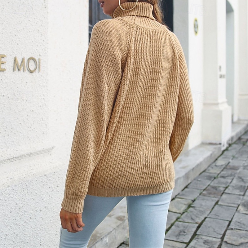 Femmes Pull Occasionnel Couleur Unie Épais Col roulé Tricoté manche longue Hauts Réguliers Tricoter Quotidien Fête Sortir Noir Jaune Automne Hiver de 2025 ? $22.99 –P4