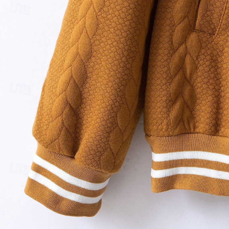 Miesten Kevyt takki Rento takki Varsity takki Loma Päivittäin Hengittävä Tasku Jakardi Kevät Syksy Raidoitettu Muoti Klassinen Stand-kaula-aukko Normaali Valkoinen Laivaston sininen Ruskea Khaki 2026 - $31.99 –P4