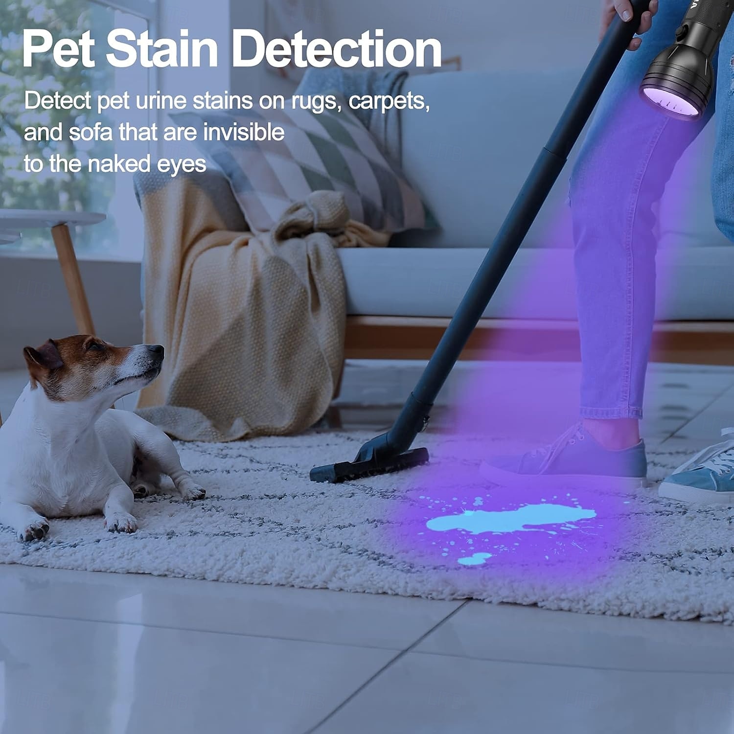 Lanterna UV com luz negra, detector de urina para animais de estimação com luz negra de 51 LEDs para urina de cães/gatos, manchas secas, percevejos, cura com resina, localizador de escorpiões de 2026 por $15.49 –P3