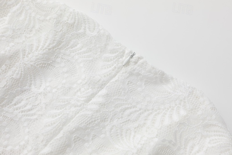 Pentru femei Rochii Midi Rochie de dantela Rochie de epoca Modă Modern În aer liber Vacanță Concediu Fit regulat Simplu Manșon Lung În V Alb Vară 2025 - $34.99 –P10