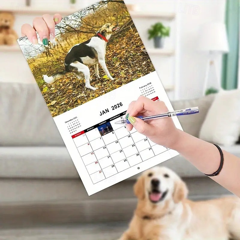2025年 2026年 怒った猫 カンフー猫カレンダー 面白い犬のうんちカレンダー ラミネート加工 月間プランナー 英語の日付付き 1月から12月まで 自宅やオフィスの装飾に最適 猫好きや犬好きの方に最適 コレクション – $11.21 –P5