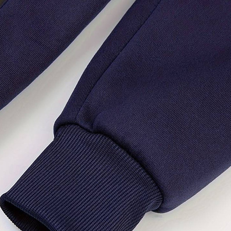 Homme Sweat à capuche Sweat à capuche zippé intégral Noir Blanche Vin bleu marine Bleu Roi À capuche Uni Zip Up Avec Poches Sport & Loisir Quotidien Fête Polyester Streetwear Basique Occasionnel de 2025 ? $21.99 –P13
