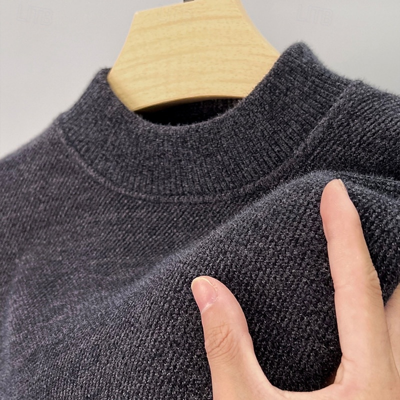 Ανδρικά Πουλόβερ πουλόβερ Πλεκτό πουλόβερ Κοτλέ Πλέκω Κανονικά μπλουζάκια Πλεκτό Φλις Σκέτο Στρογγυλή Ψηλή Λαιμόκοψη Μοντέρνα Βασικό Διακοπές Καθημερινά Ρούχα Ρούχα Φθινόπωρο Χειμώνας 2026 - $21.99 –P8
