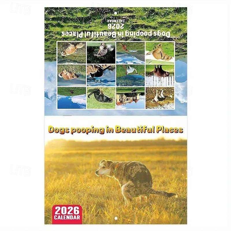 2025年 2026年 怒った猫 カンフー猫カレンダー 面白い犬のうんちカレンダー ラミネート加工 月間プランナー 英語の日付付き 1月から12月まで 自宅やオフィスの装飾に最適 猫好きや犬好きの方に最適 コレクション – $11.21 –P3