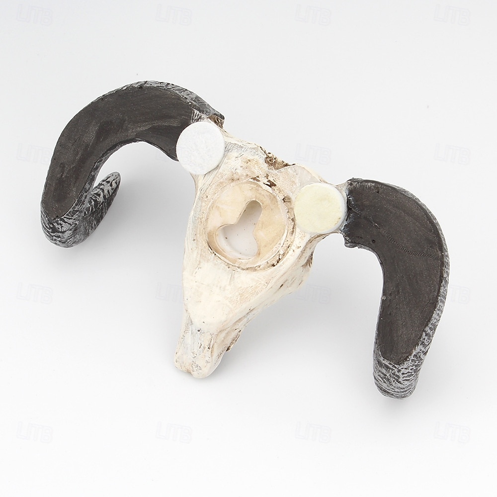 Decorazione da parete per Halloween con teschio di mucca, gancio da parete in resina con corno di toro, portachiavi decorativo con testa di animale per ingresso, stile gotico occidentale, del 2025 a $9.99 –P2