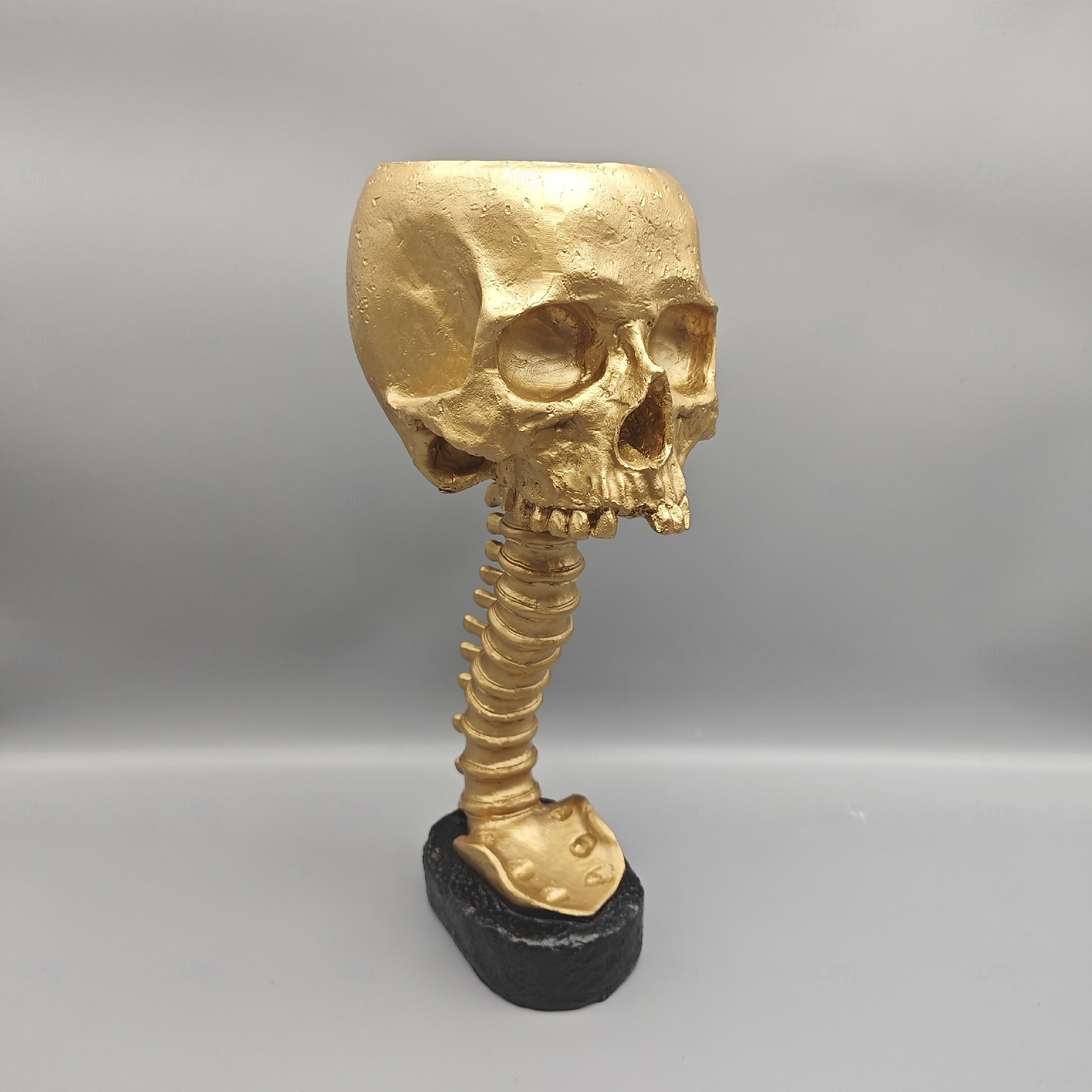 Halloween Skull Planter & Spine Stand, Resin Skull Head Flower Succulent Cactus Planter Pots,or Home Office Desk Decorations Halloween Scene Statue Sculpture Decorations 2025 - $26.99 –P8