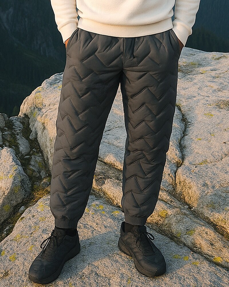 Men's Fleece Sweatpants Winter Outdoor Regular Fit Thermal Warm Bottoms Elastic Waist Drawstring Black Grey Cotton Camping / Hiking Running S M L XL XXL 2025 - $12.79 –P3