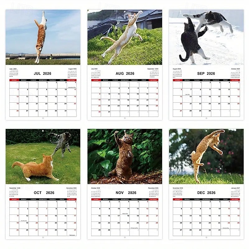 2025年 2026年 怒った猫 カンフー猫カレンダー 面白い犬のうんちカレンダー ラミネート加工 月間プランナー 英語の日付付き 1月から12月まで 自宅やオフィスの装飾に最適 猫好きや犬好きの方に最適 コレクション – $11.21 –P10