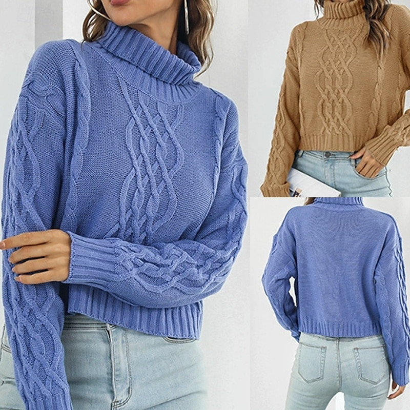 Femmes Pull Occasionnel Couleur Unie Épais Col roulé Tricoté manche longue Hauts Réguliers Tricoter Quotidien Fête Sortir Jaune Bleu Automne Hiver de 2025 ? $22.99 –P1
