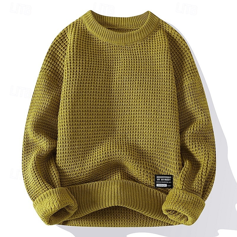 Herre Pullover genser Strikket genser Riflet Strikke Vanlige topper Strikket عادي Crew-hals Mote Grunnleggende Feriereise Dagligdagstøy Klær Høst Vinter Svart Hvit M L XL 2025 - $32.99 –P4