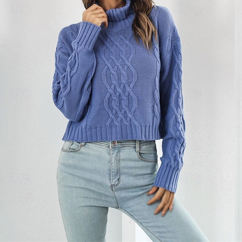 Femmes Pull Occasionnel Couleur Unie Épais Col roulé Tricoté manche longue Hauts Réguliers Tricoter Quotidien Fête Sortir Jaune Bleu Automne Hiver de 2025 ? $22.99 –P3
