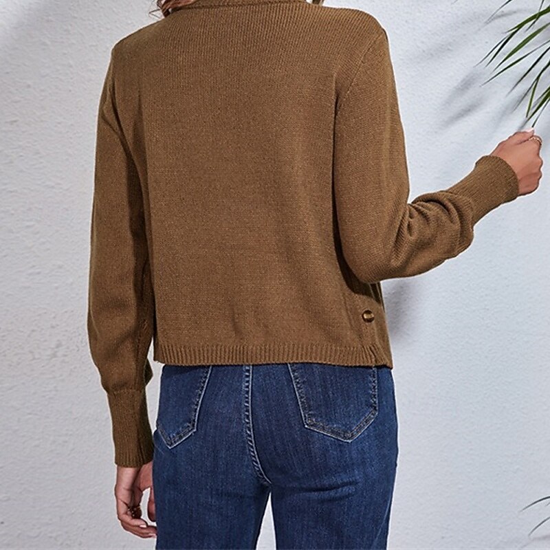Mujer Pull-over Casual Color sólido Fornido Escote en Pico De Punto Manga Larga Tops regulares Tejer Diario Festivos Noche Marrón Otoño Invierno 2025 - $21.99 –P5