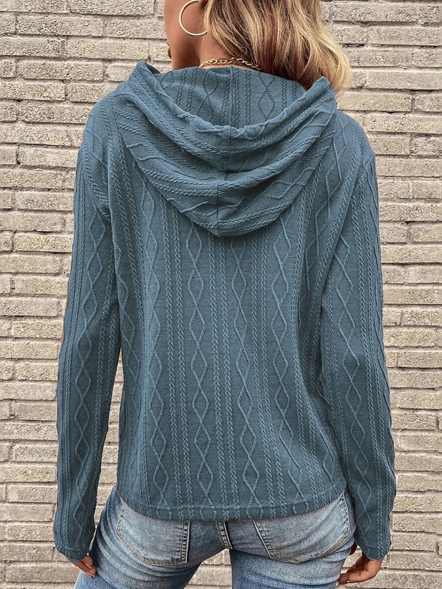Per donna Felpa con cappuccio Semplice Casual Manica Lunga Con Cappuccio Top Regolari Streetwear Abbigliamento Quotidiano Nero Vino Marrone Grigio Autunno Inverno del 2025 a $24.99 –P13