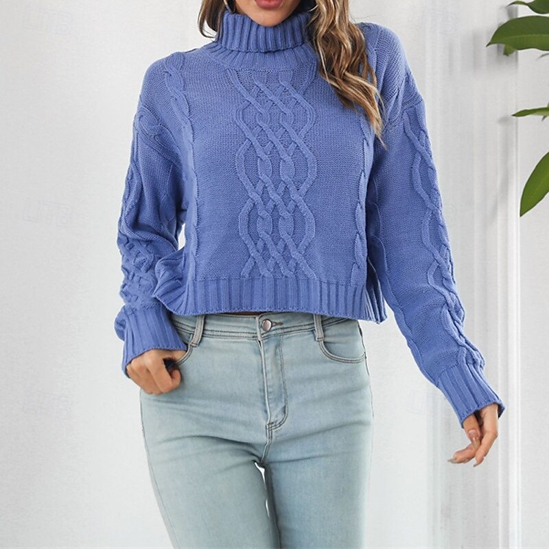 Femmes Pull Occasionnel Couleur Unie Épais Col roulé Tricoté manche longue Hauts Réguliers Tricoter Quotidien Fête Sortir Jaune Bleu Automne Hiver de 2025 ? $22.99 –P2
