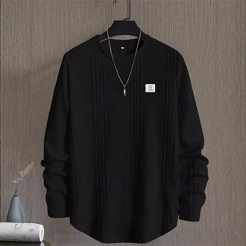 Herr Tröja Vit Rund hals Slät Jacquard Dagligen Sport & Utomhus Helgdag Polyester Streetwear Grundläggande Ledigt Vår Höst Kläder Pull Tröjor Långärmad 2026 - $28.99 –P11