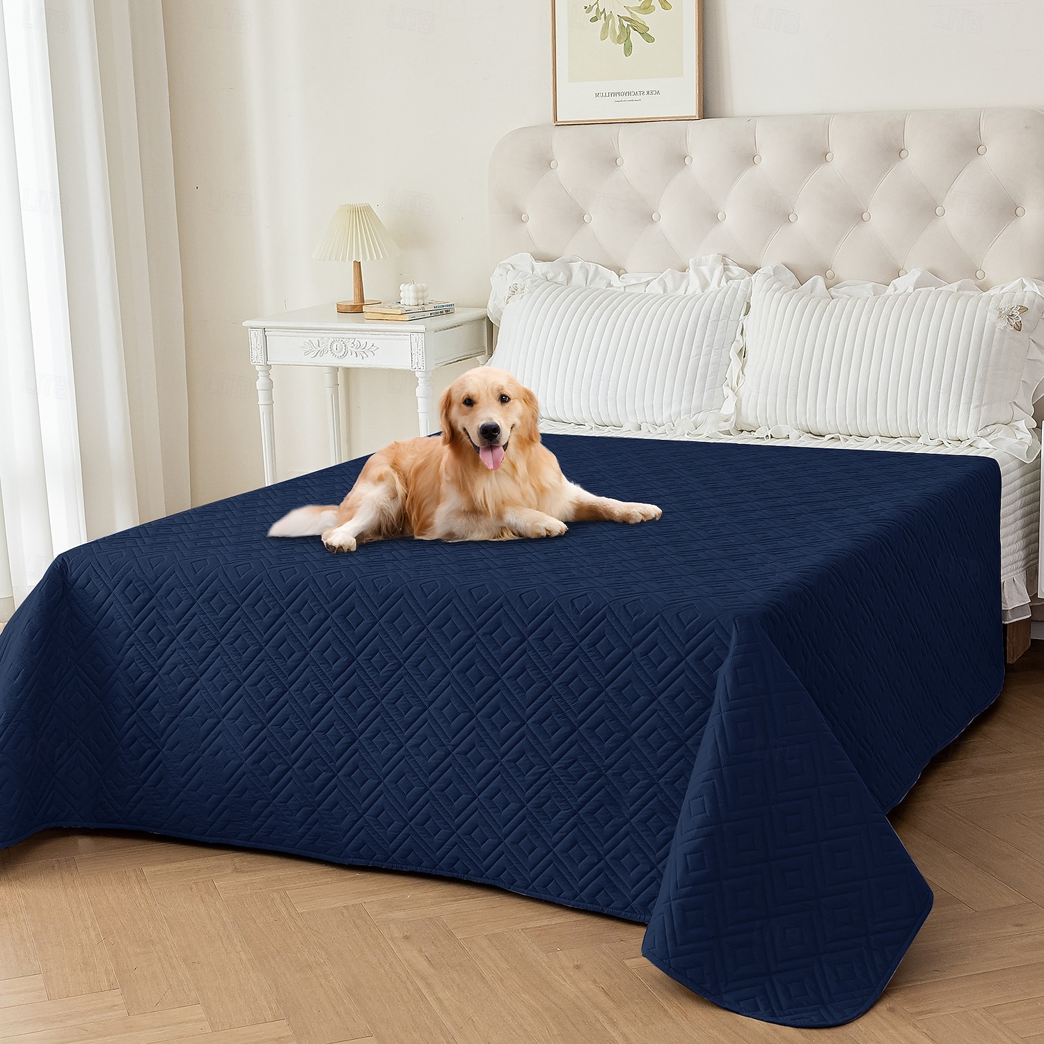 غطاء سرير حيوانات أليفة مقاوم للماء، واقي أريكة للكلاب لا ينزلق، وسادة أريكة قابلة للغسيل للحيوانات الأليفة 2026 - $20.99 –P13