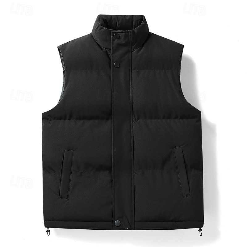 Herr Gilet Utomhus Semester Dagliga kläder Utekväll Mode Grundläggande Höst vinter Dragkedja Ficka Polyester Håller värmen Slät Dragkedja Nedvikt Normal Svart Vit Mörkblå Väst 2025 - $29.99 –P2
