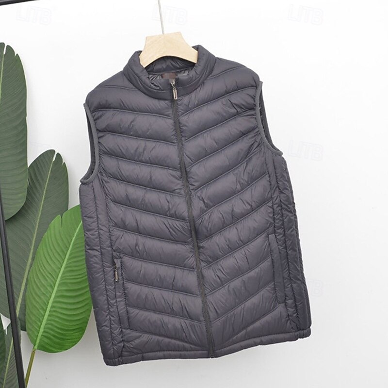 Pánské Puffer Vesta Kamizelka Vesta Dovolená Denní Rande Módní Na běžné nošení Podzim zima Kapsy Polyester Zahřívací Pohodlné Pevná barva Zip Stojáček Běžný Černá Vodní modrá Šedá Vesta 2025 - $19.49 –P8
