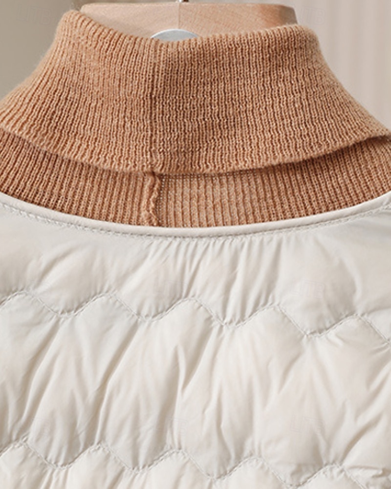 Pentru femei Fâș Cald Comfortabil Nasturi Modă Simplu Ieșire Sfârșit de săptămână Cu Un Nasture Regulat Crewneck Fit regulat Manșon Lung Îmbrăcăminte exterioară Roz Deschis Albastru Deschis Alb 2025 - $29.99 –P13