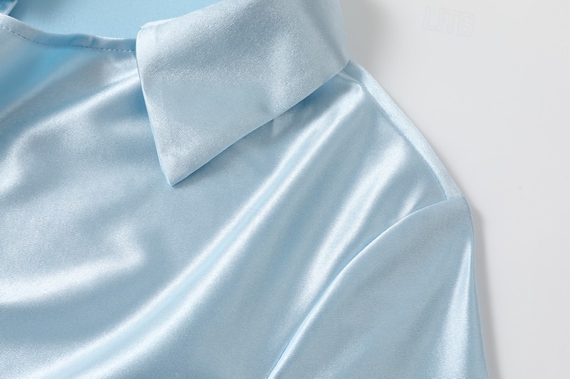 Γυναικεία Κομψή Φιλάρεσκος Σατέν Μπλούζα Ντυτές μπλούζες Σκέτο Καθημερινά Στυλάτο Βασικό Μακρυμάνικο Κολάρο Πουκαμίσου Κανονικά μπλουζάκια Καθημερινά Δουλειά Αργίες Θαλασσί Μαύρο Χακί Άνοιξη Φθινόπωρο 2026 - $32.99 –P6