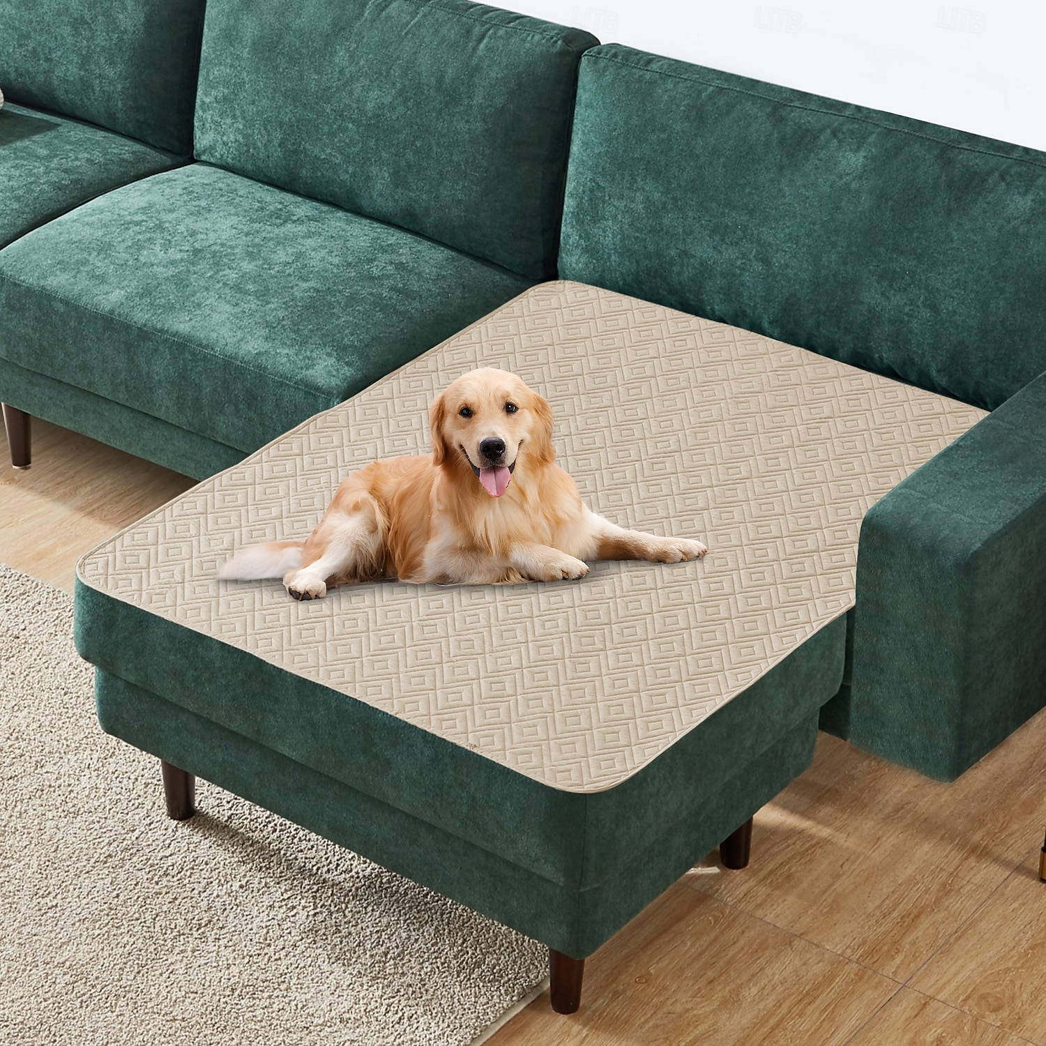 غطاء سرير حيوانات أليفة مقاوم للماء، واقي أريكة للكلاب لا ينزلق، وسادة أريكة قابلة للغسيل للحيوانات الأليفة 2026 - $20.99 –P14
