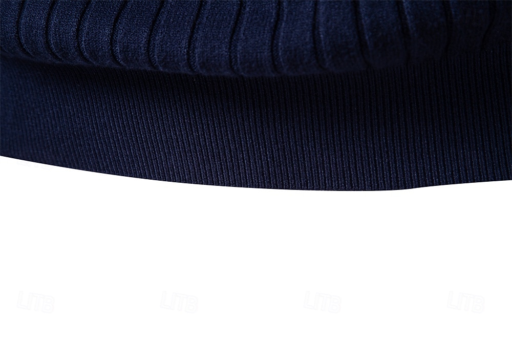 Homme Pull Tricoter Hauts Réguliers Couleur Unie Col roulé Élégant ancien École Vacances Vêtement Tenue Printemps Automne Noir Marine foncé S M L de 2026 ? $26.99 –P29