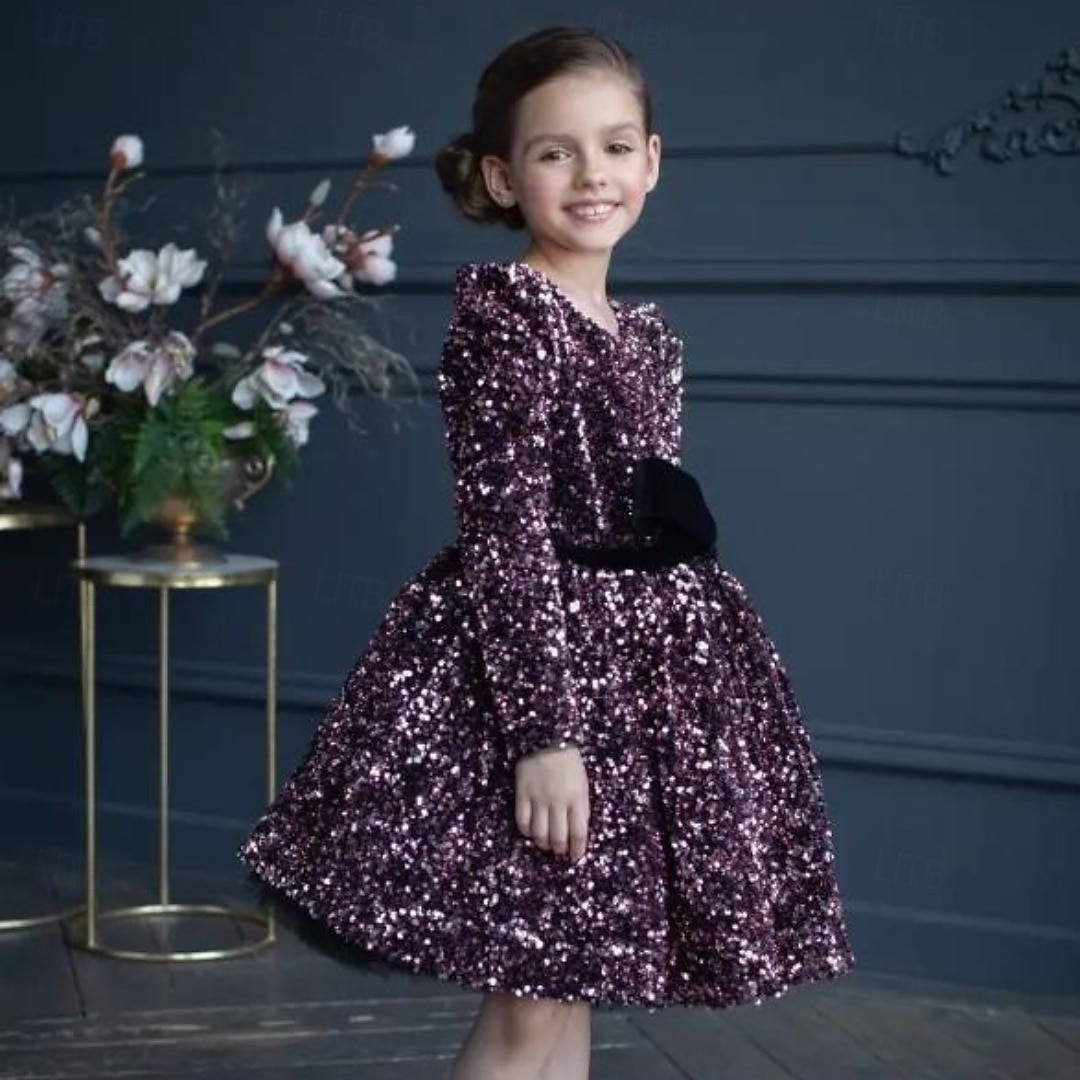 Kinder Mädchen Partykleid Einfarbig Langarm Leistung Netz Prinzessin Süß Netzstoff Knöchellang Etui-Kleid Tüllkleid Sommer Frühling Herbst Kinder Schwarz Weiß Wein 2025 - $79.99 –P12