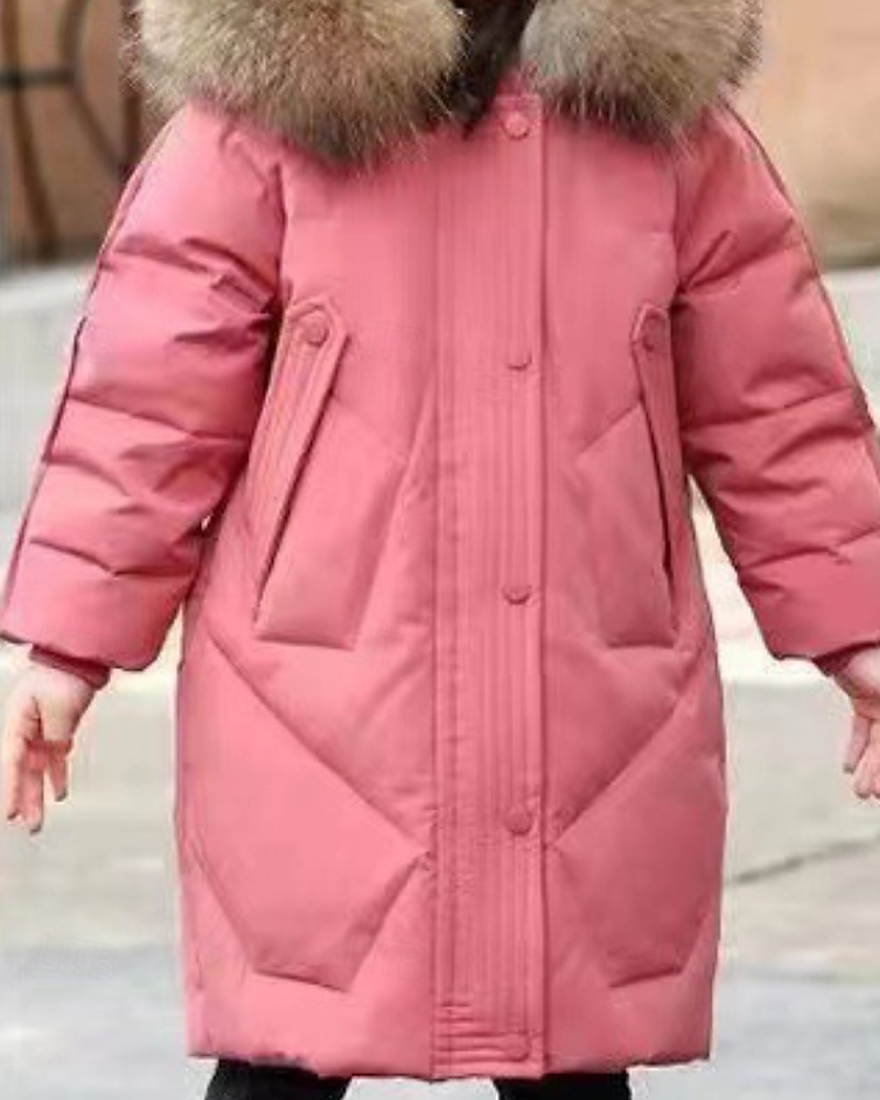 Copii Fete Jos Culoare solidă Modă Γούνινος Γιακάς Fermoar Buzunar Școală Palton Îmbrăcăminte exterioară 4-12 ani Iarnă Negru Roz Îmbujorat Roșu-aprins 2025 - $35.99 –P1