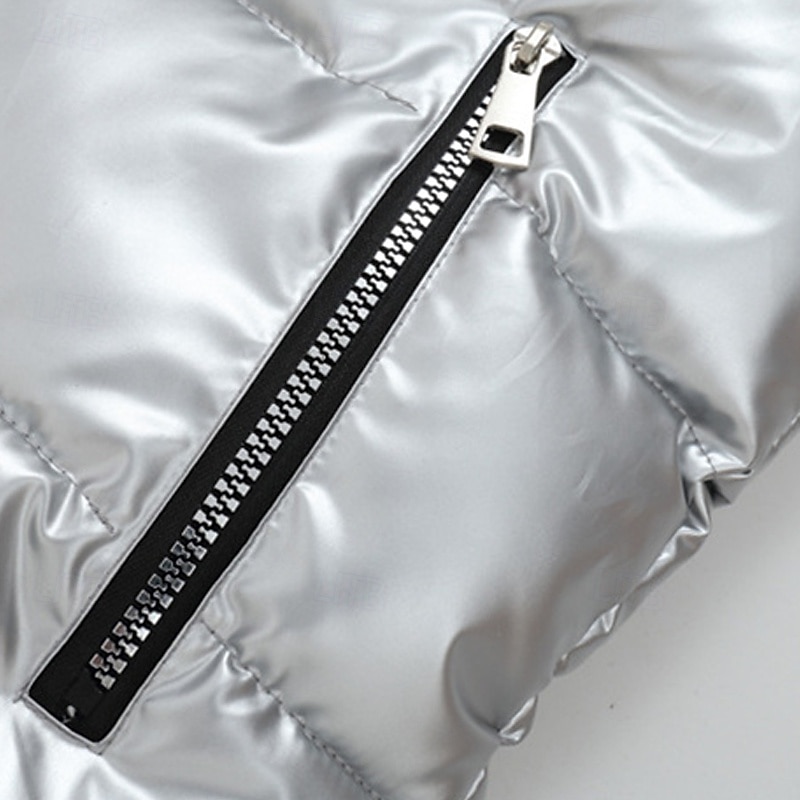 Pánské Puffer Vesta Kamizelka Vesta Dovolená Denní Rande Módní Na běžné nošení Podzim zima Kapsy Polyester Zahřívací Pohodlné Pevná barva Zip Kapuce Běžný Stříbrná Černá Rubínově červená Tmav 2025 - $33.99 –P7