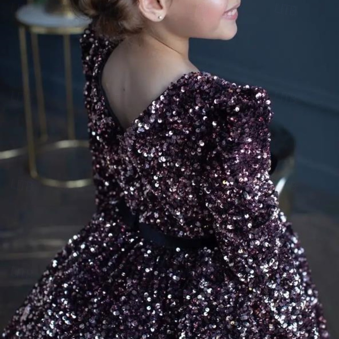 Kinder Mädchen Partykleid Einfarbig Langarm Leistung Netz Prinzessin Süß Netzstoff Knöchellang Etui-Kleid Tüllkleid Sommer Frühling Herbst Kinder Schwarz Weiß Wein 2025 - $79.99 –P16