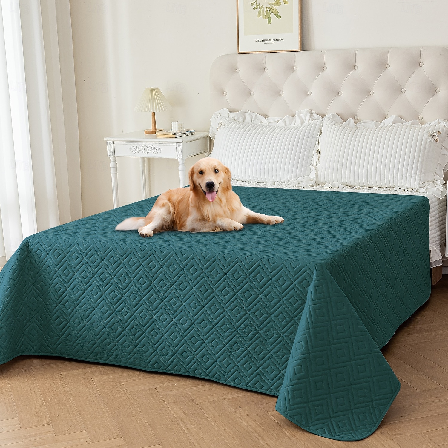 غطاء سرير حيوانات أليفة مقاوم للماء، واقي أريكة للكلاب لا ينزلق، وسادة أريكة قابلة للغسيل للحيوانات الأليفة 2026 - $20.99 –P8