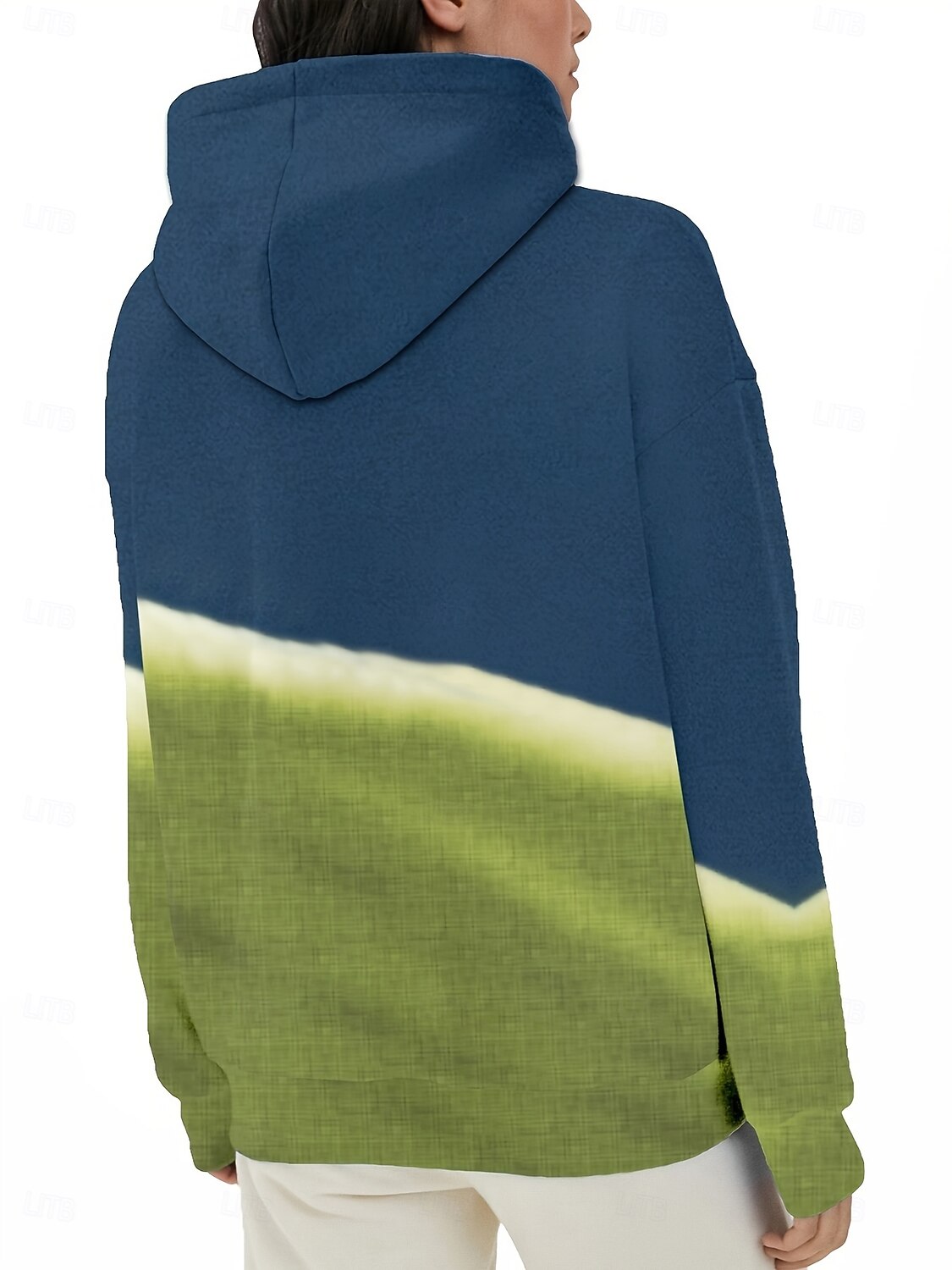 Femmes Sweat à capuche Graphique Animal Occasionnel manche longue À capuche Hauts Réguliers Tenue de soirée Rue Tenue Quotidienne Bleu Printemps Automne Hiver de 2025 ? $31.99 –P4