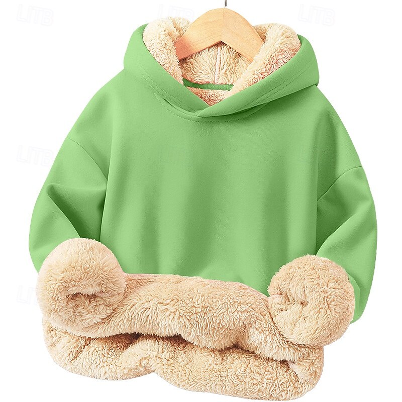 Barn Unisex Pojkar hoodie med dragkedja Ensfärgat Långärmad Vinter Mode Förtjusande Polyester Utomhus 2025 - $22.99 –P7