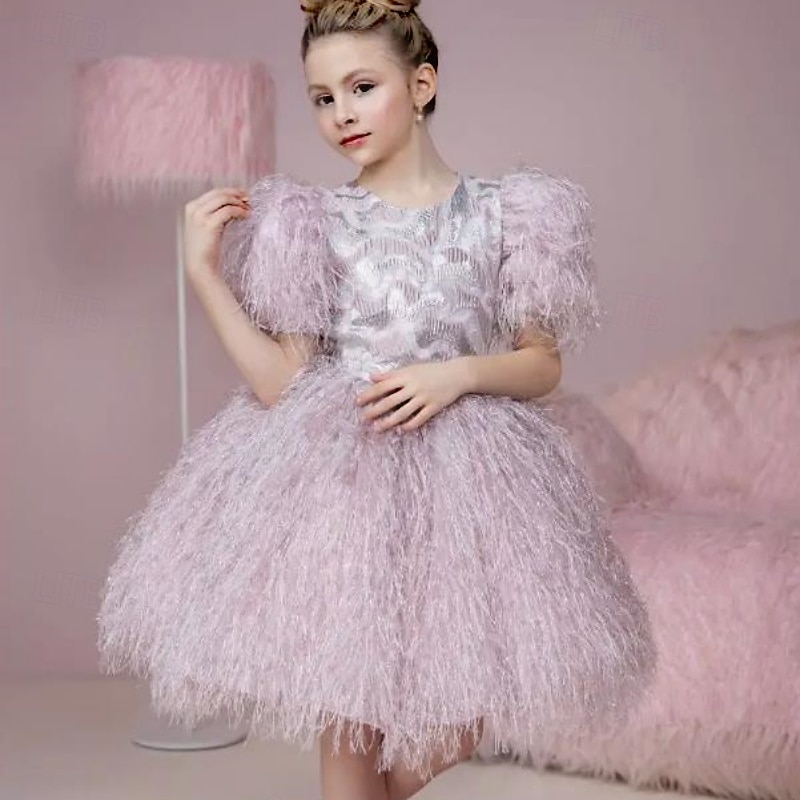 Kinder Mädchen Partykleid Einfarbig Kurzarm Leistung Netz Prinzessin Süß Netzstoff Knöchellang Etui-Kleid Tüllkleid Sommer Frühling Herbst Kinder Schwarz Weiß Rosa 2025 - $100.99 –P1