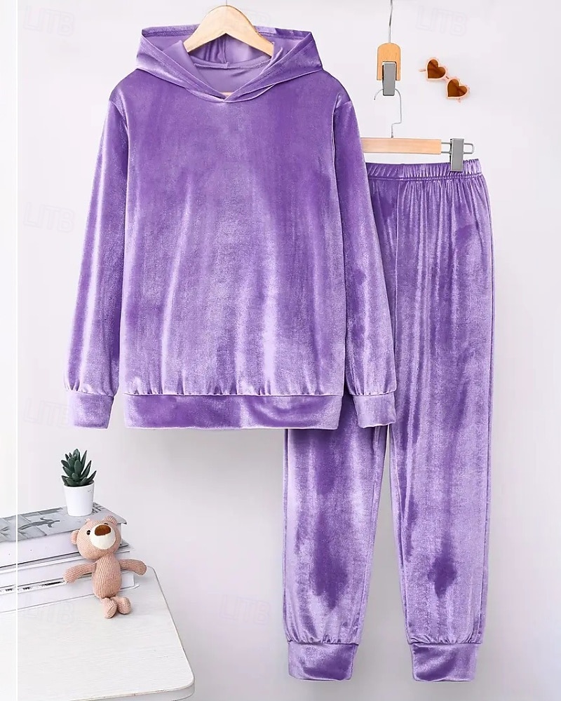 Dam Aktiv Streetwear Blus Huvtröja Byxuppsättningar Långärmad Huva Ensfärgat Rynkad Semester Dagliga kläder Rodnande Rosa Vin Blå Höst Normal 2025 - $31.99 –P16