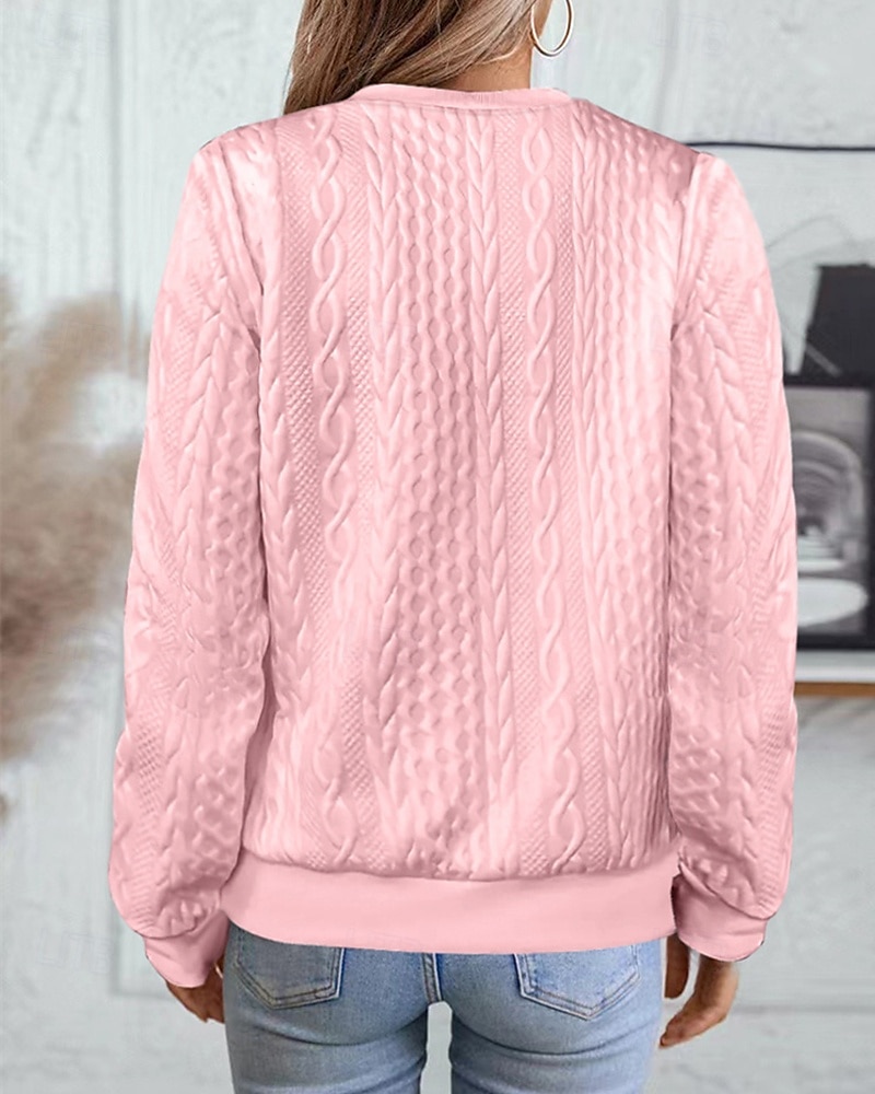 Per donna Felpa con texture Felpe Felpe con cerniera Semplice Streetwear Casual Comodo Manica Lunga Collo Alto Top Regolari Streetwear Ferie Uscire Zip a un quarto Bianco Rosa Vino Rosa scuro Blu del 2025 a $22.99 –P8