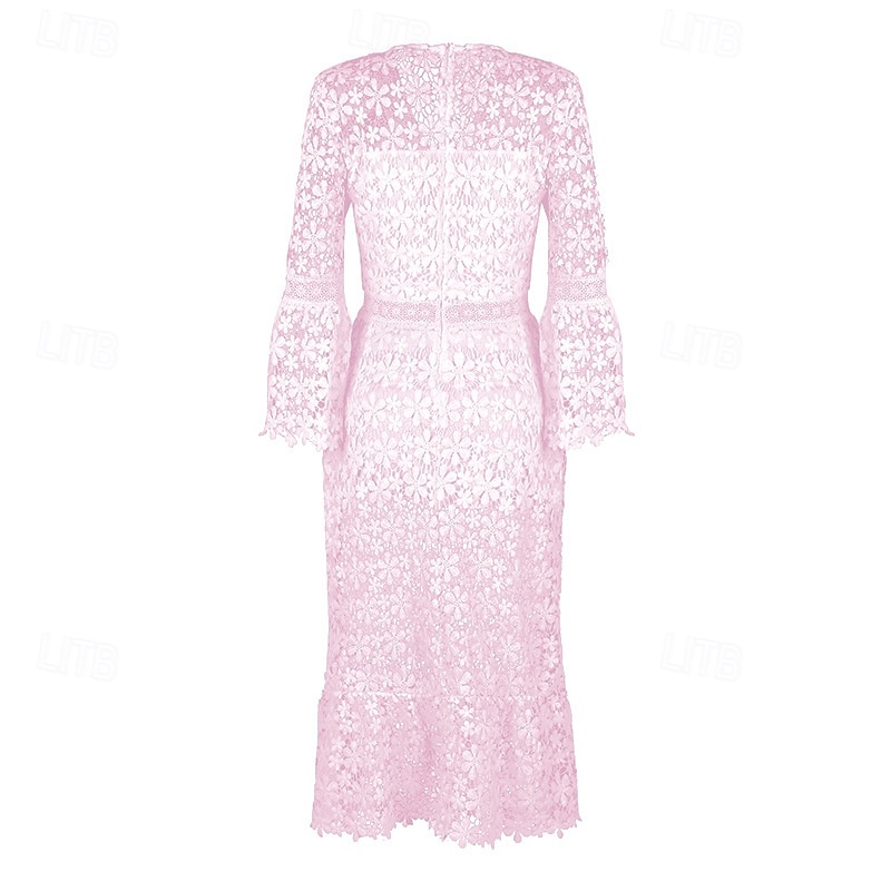 Damen Langes Kleid Maxikleid Spitzenkleid Freizeitkleid Sommerkleid Mode Modern Täglich Strand Wochenende Normale Passform Einfach Langarm V Ausschnitt Weiß Gelb Rosa Blau Sommer Frühling 2025 - $34.99 –P13