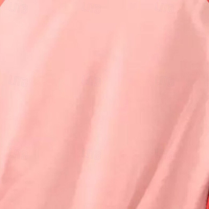 Dame Genser med genser Gensere Fargeblokk Gatemote Fritid Langermet Crew-hals Vanlige topper Hjem Gate Ferie Lapper Rosa Lysegrå Vinter 2025 - $21.99 –P2