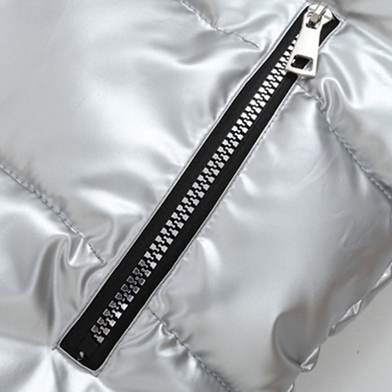 Per uomo Gilet imbottito Gilet Vacanza Quotidiano Data Moda Casual Autunno & Inverno Tasca Nylon Caldo Confortevole Tinta unica Cerniera Con Cappuccio Vestibilità regolare Argento Nero Rosso Argento del 2026 a $34.99 –P8