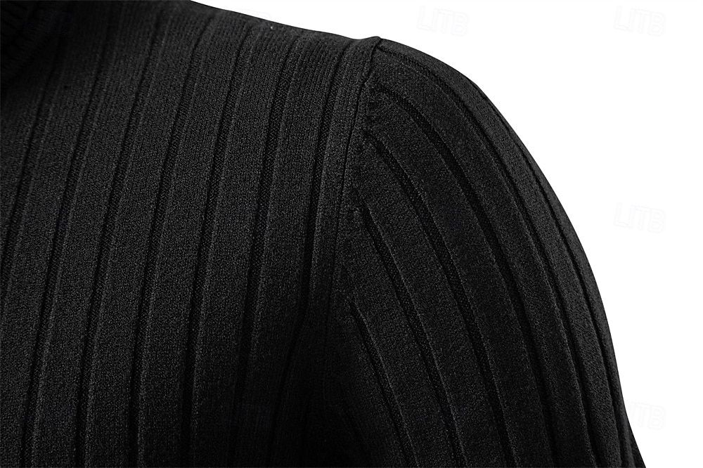 Homme Pull Tricoter Hauts Réguliers Couleur Unie Col roulé Élégant ancien École Vacances Vêtement Tenue Printemps Automne Noir Marine foncé S M L de 2026 ? $26.99 –P9