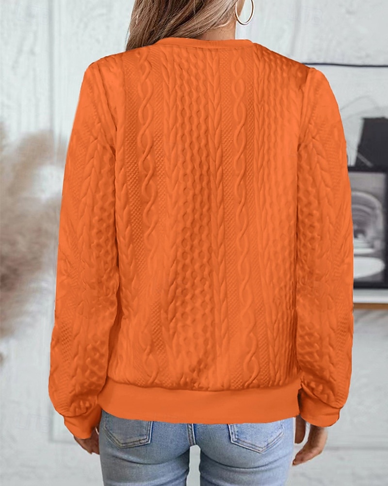 Per donna Felpa con texture Felpe Felpe con cerniera Semplice Streetwear Casual Comodo Manica Lunga Collo Alto Top Regolari Streetwear Ferie Uscire Zip a un quarto Bianco Rosa Vino Rosa scuro Blu del 2025 a $22.99 –P14