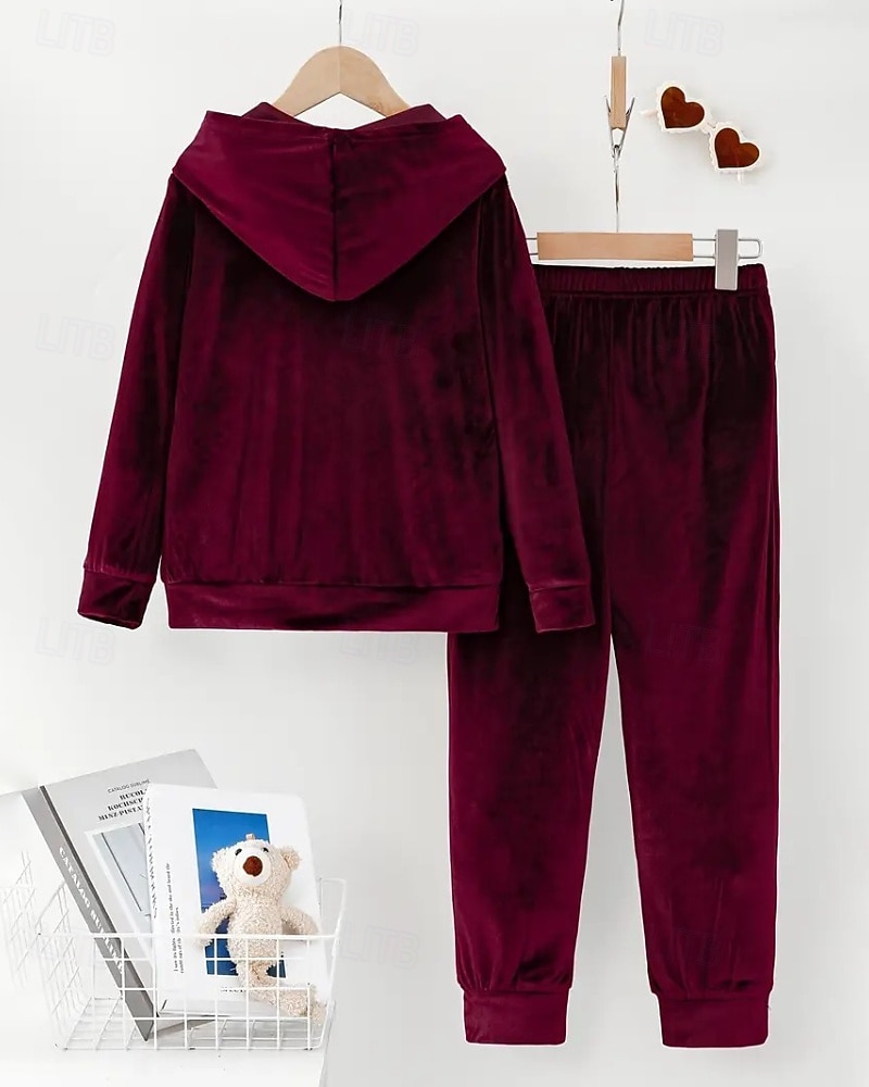 Dam Aktiv Streetwear Blus Huvtröja Byxuppsättningar Långärmad Huva Ensfärgat Rynkad Semester Dagliga kläder Rodnande Rosa Vin Blå Höst Normal 2025 - $31.99 –P7