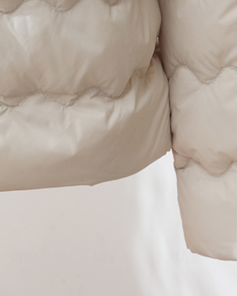 Pentru femei Fâș Cald Comfortabil Nasturi Modă Simplu Ieșire Sfârșit de săptămână Cu Un Nasture Regulat Crewneck Fit regulat Manșon Lung Îmbrăcăminte exterioară Roz Deschis Albastru Deschis Alb 2025 - $29.99 –P11