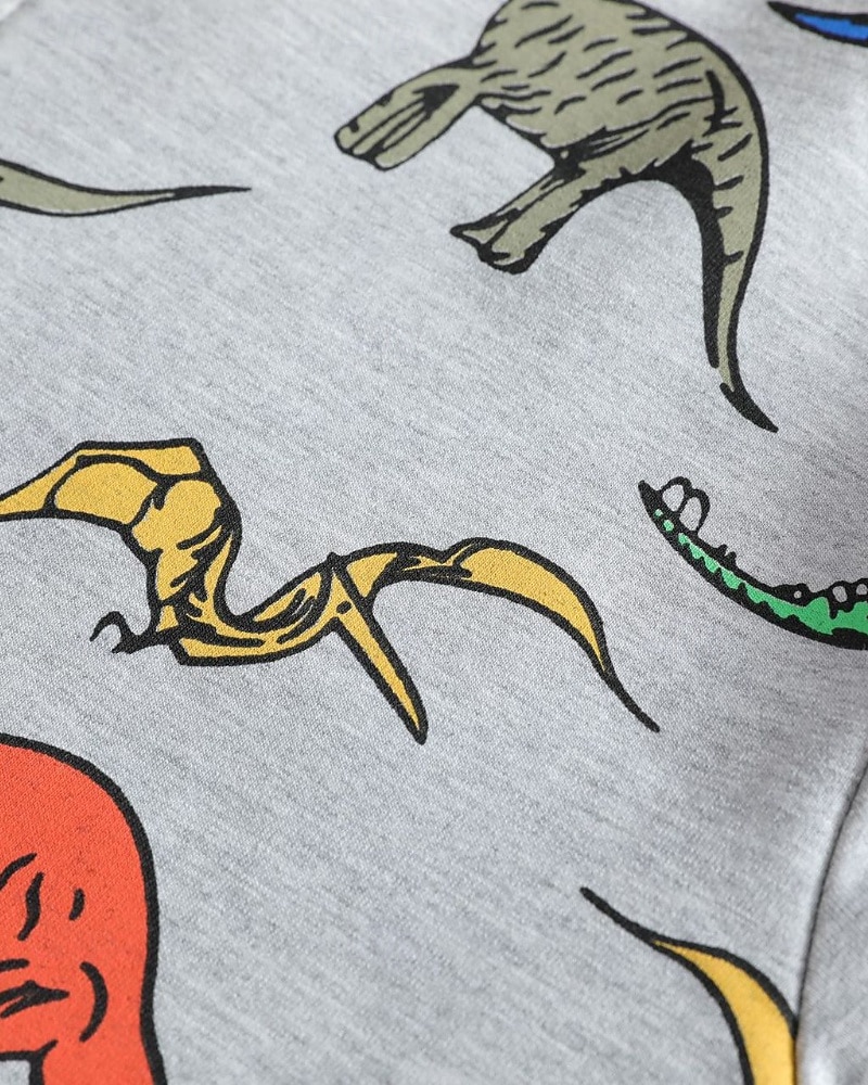 Barn Pojkar hoodie med dragkedja Tecknat Långärmad Dragkedja Höst Grundläggande Bomull Utomhus 2025 - $30.99 –P16