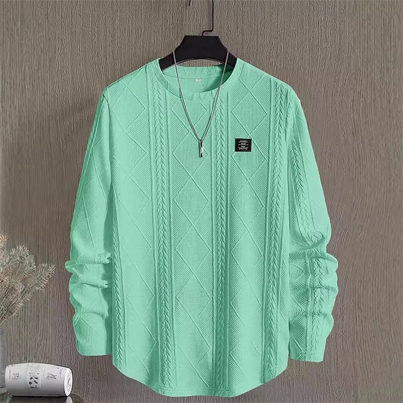 Herr Tröja Vit Rund hals Slät Jacquard Dagligen Sport & Utomhus Helgdag Polyester Streetwear Grundläggande Ledigt Vår Höst Kläder Pull Tröjor Långärmad 2026 - $28.99 –P17