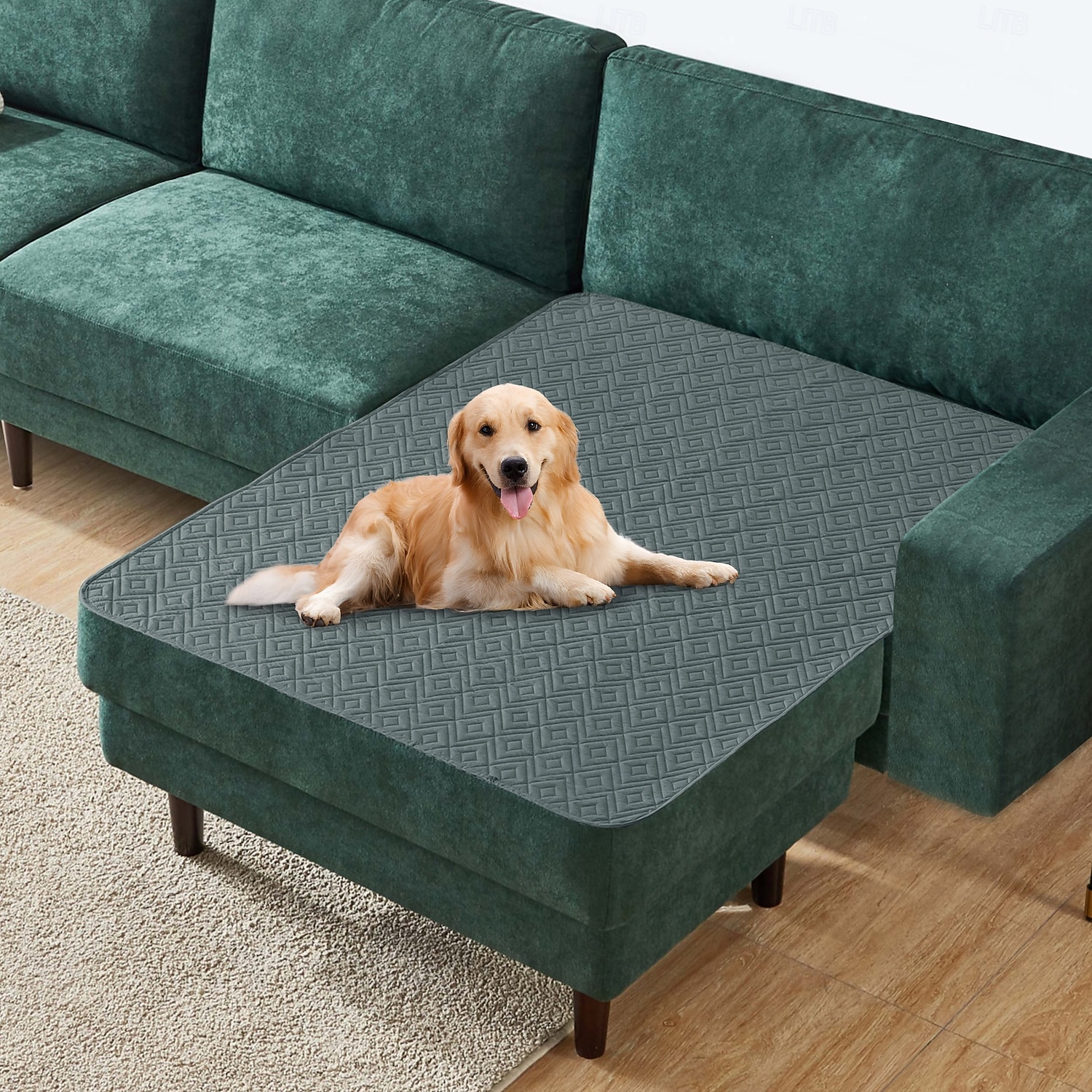غطاء سرير حيوانات أليفة مقاوم للماء، واقي أريكة للكلاب لا ينزلق، وسادة أريكة قابلة للغسيل للحيوانات الأليفة 2026 - $20.99 –P10