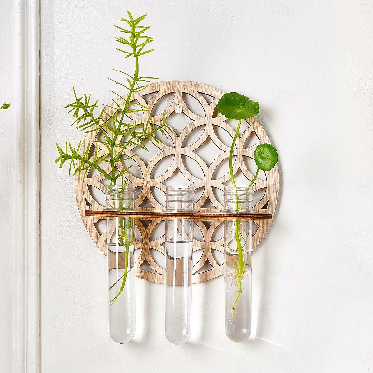 1 supporto idroponico in legno per interni, vaso per la propagazione delle piante, provetta in plastica da parete con supporto in legno, adatto per la decorazione di piante domestiche, talee del 2025 a $12.49 –P8