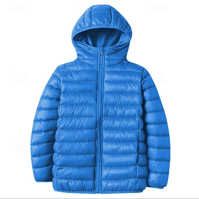Da ragazzo 3D Liscio Cappotto Manica lunga Inverno Attivo Fantastico Poliestere Bambino 3-13 anni Sport Standard del 2026 a $32.99 –P3