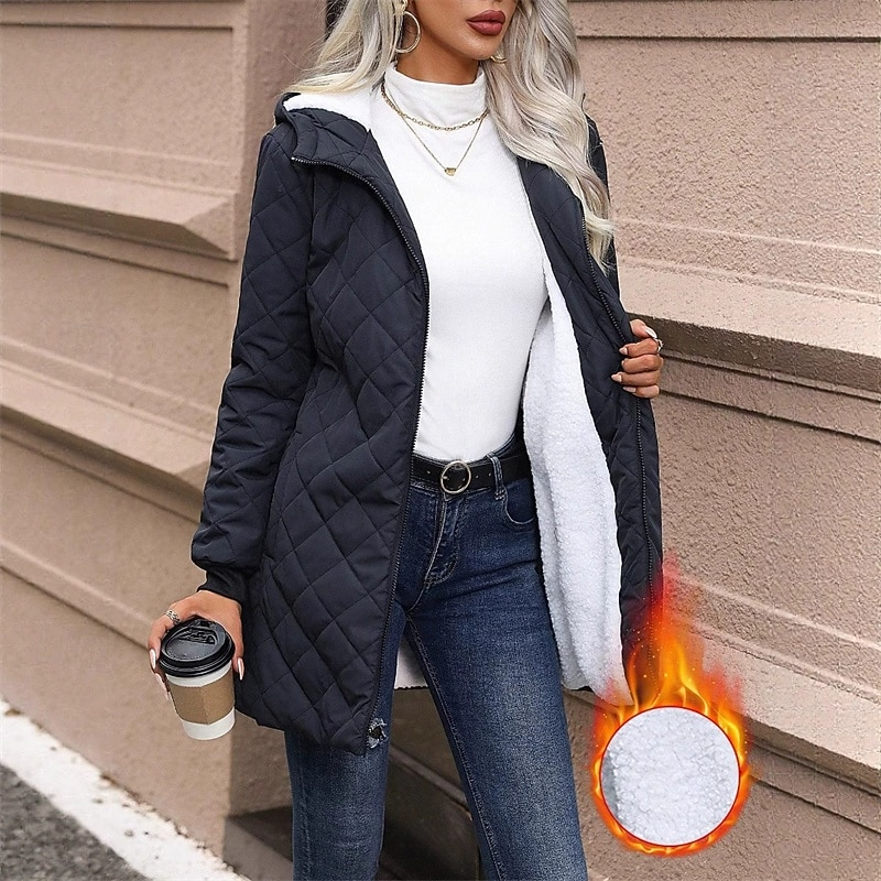 Жен. Повседневная куртка Сохраняет тепло Удобный Молния Карман Мода На открытом воздухе Полотняное плетение На выход выходные Молния Обычная Капюшон Стандартный Длинный рукав Верхняя одежда Черный 2025 - $28.99 –P1